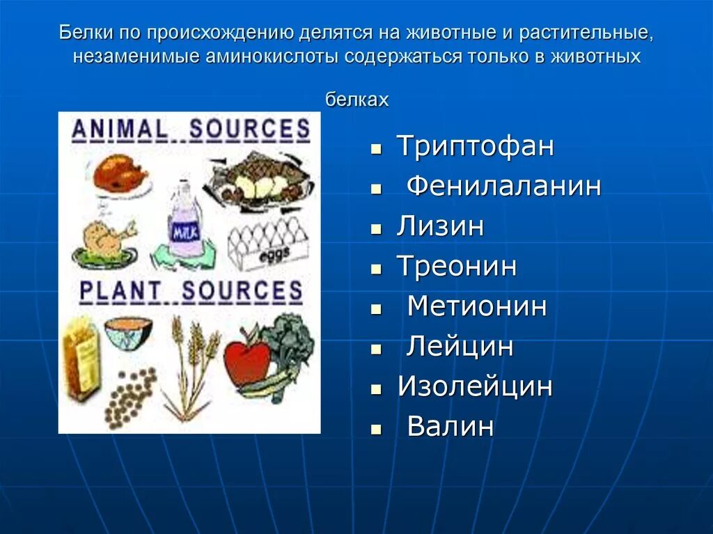 Овощи содержащие белки. Белки растительногороисхождения. Аминокислоты в продуктах растительных продуктах. Белков животного происхождения. Белок в продуктах растительного происхождения.