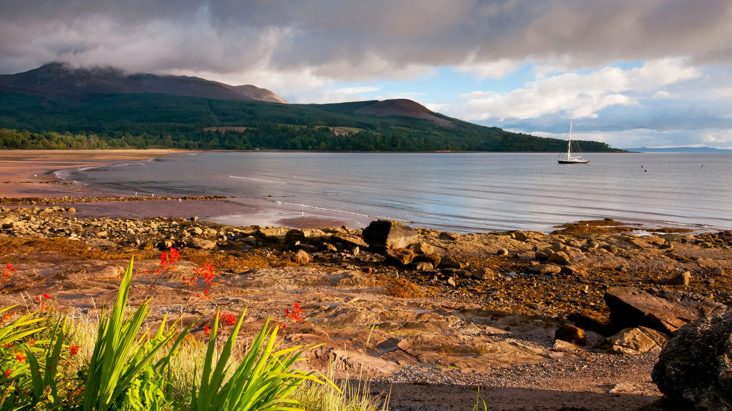 Arran single malt scotch whisky 0. Арран. Арран. Arran malt виски 10. Арран.