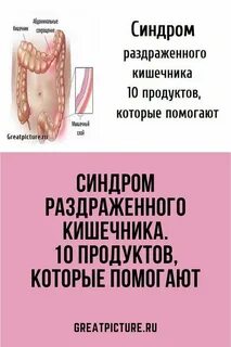Кишечник днем болит