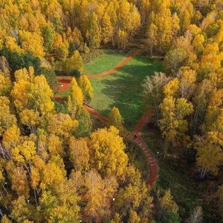 Прогноз кольцово