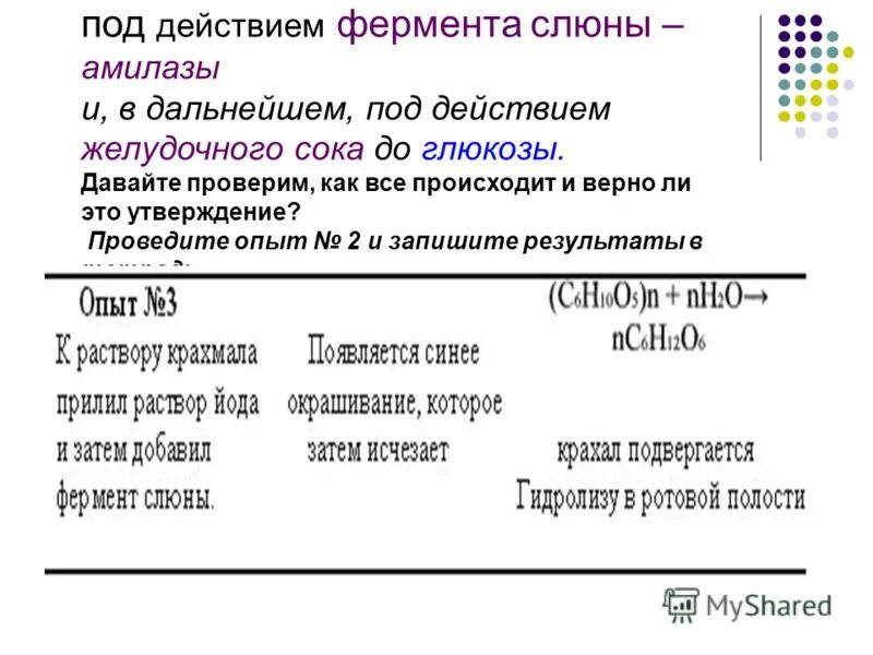 Слюна соляная кислота. Условия действия фермента амилаза слюны. Опыт с крахмалом и йодом и слюной. Гидролиз крахмала под воздействием амилазы слюны. Схема гидролиза крахмала под влиянием амилазы слюны:.