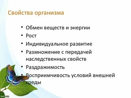 Развитие это общее свойство