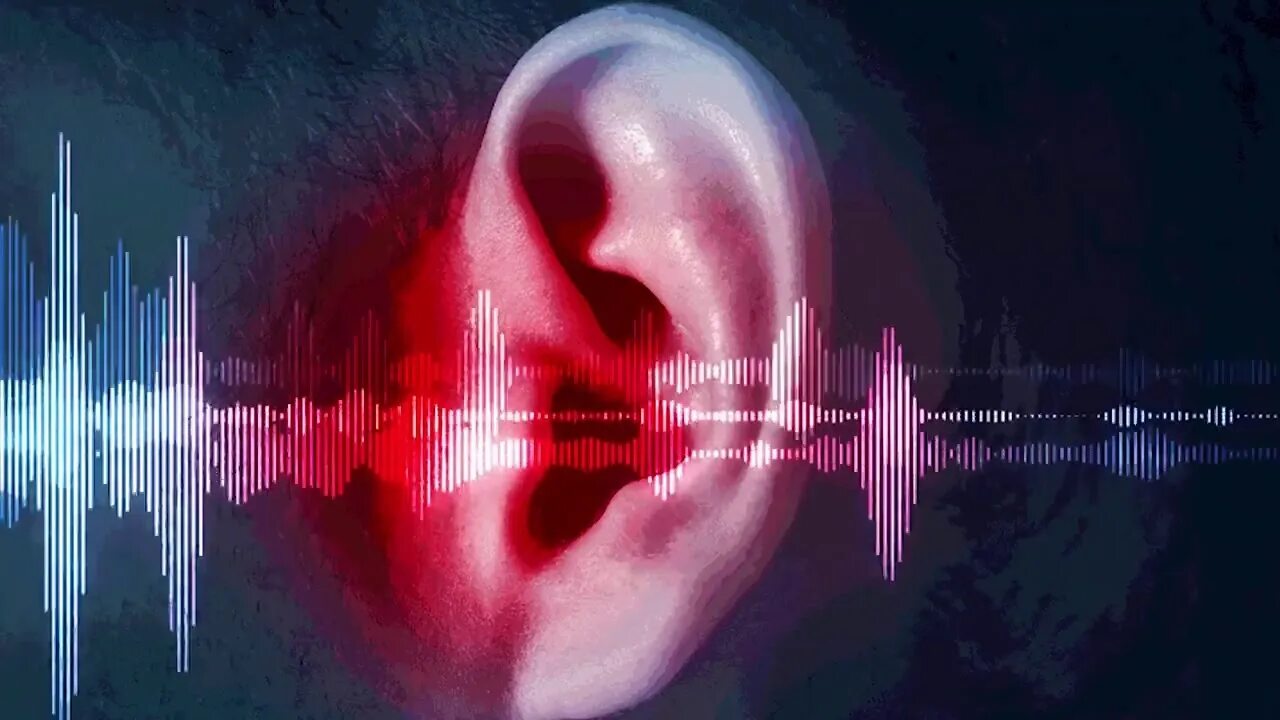 Звуковая волна. Ухо и звуковые волны. Ухо звук. Звуковые волны ухо человека. Звук частоты в ушах