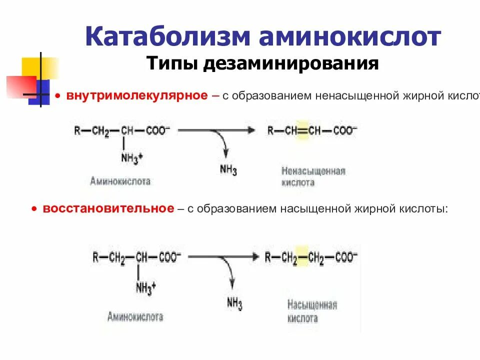 Схемы реакций декарбоксилирования аминокислот. Трансаминирование и дезаминирование аминокислот. Типы дезаминирования аминокислот биохимия. Дезаминирование аминокислот биохимия реакции. В результате дезаминирования образуется