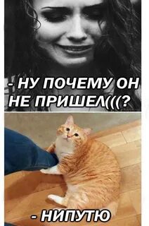 Пути не путю