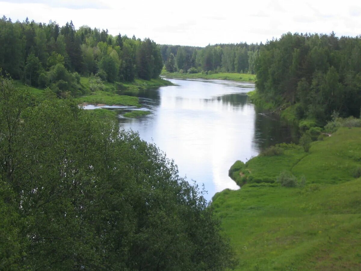 Пестово новгородская область. Кабожа новгородская область. Пестово хвойная. Бежецк молога. Пестово река.
