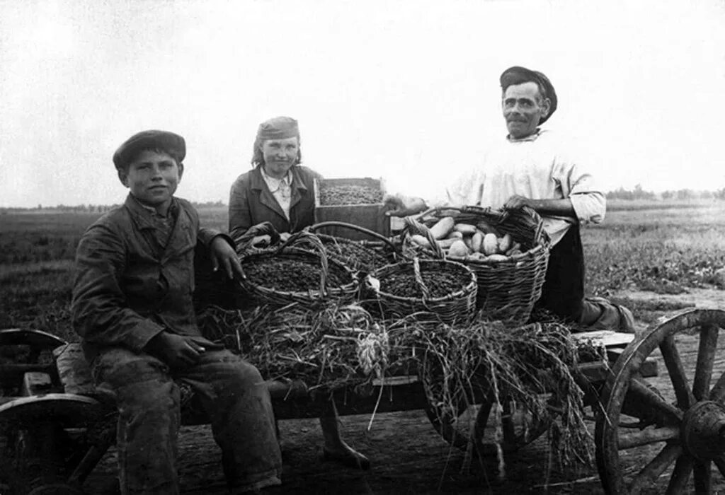 Колхоз является. Колхоз &quot;вторая пятилетка&quot;. коллективное хозяйство колхозники ссср сорокин. колхоз крыма 1925. колхоз вторая пятилетка енисейского района.