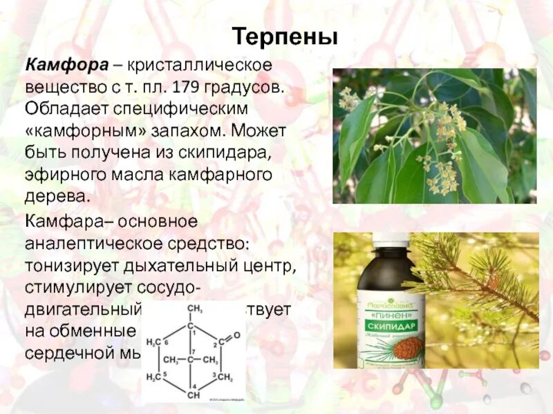 Можно применить камфорный. Камфора лекарственное средство. Камфора для чего. Камфора кристаллическая. Камфора фармакология.