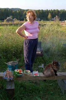 Погода в алеховщине