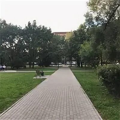 Сао тимирязевский