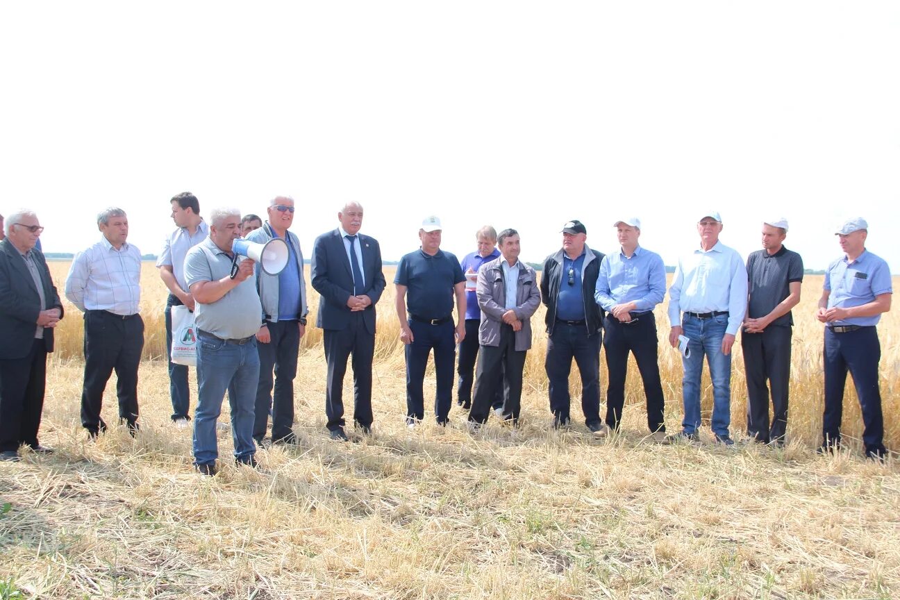 сельское хозяйство самарской области. веневское управление сельского хозяйства. районные управления сельского хозяйства. спк племзавод восток ставропольский край. районные управления сельского хозяйства.