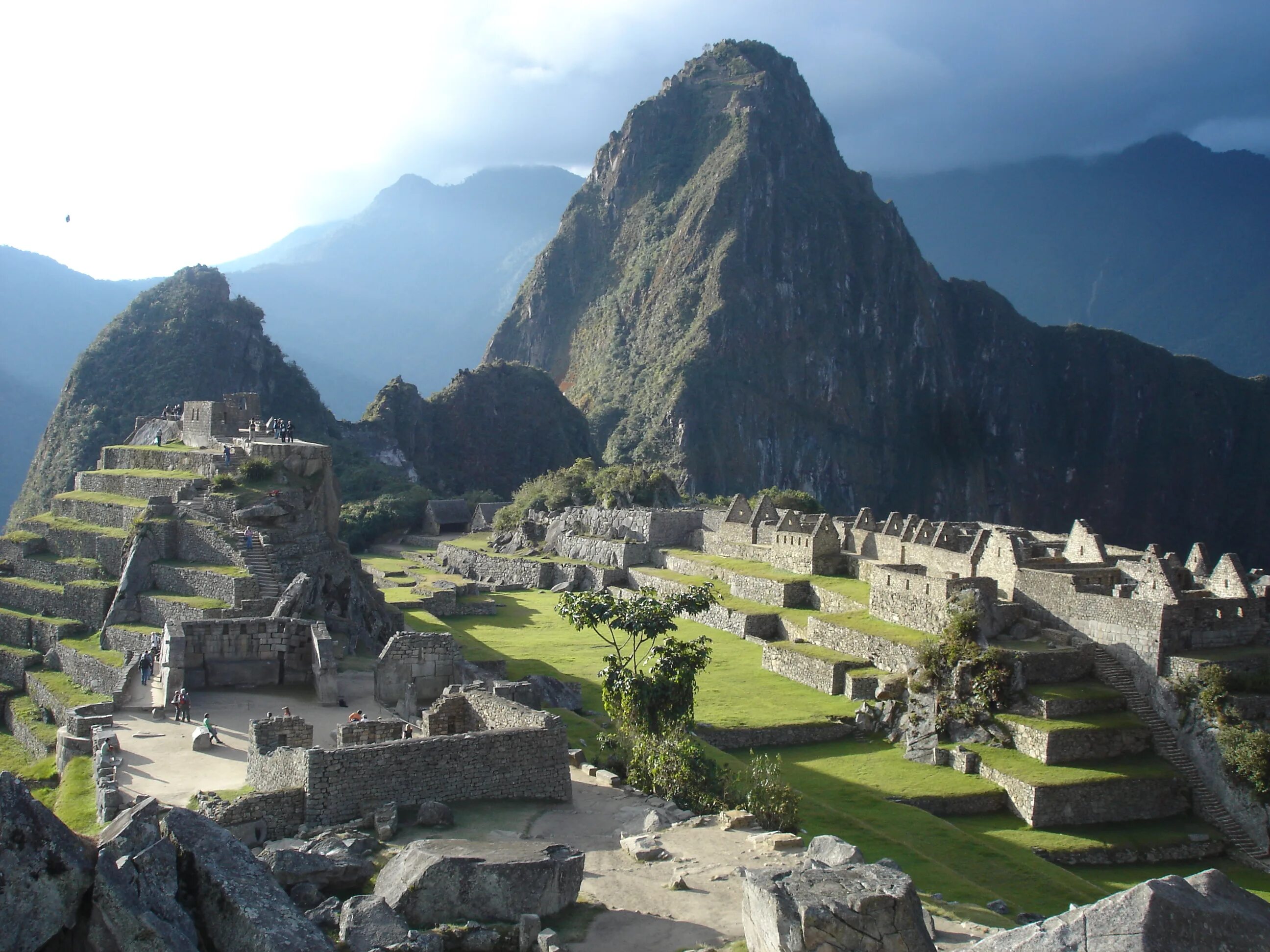 Растения Мачу Пикчу. Мачу Пикчу статуи. Мачу Пикчу тьма. Machu Picchu в Перу. Почему перу назвали перу