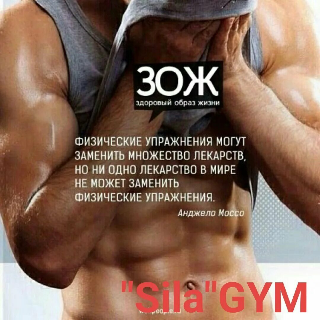 Образ жизни цитаты