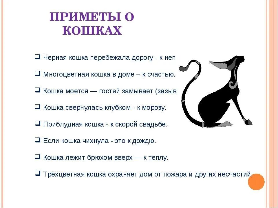 Почему к коту пришли коты