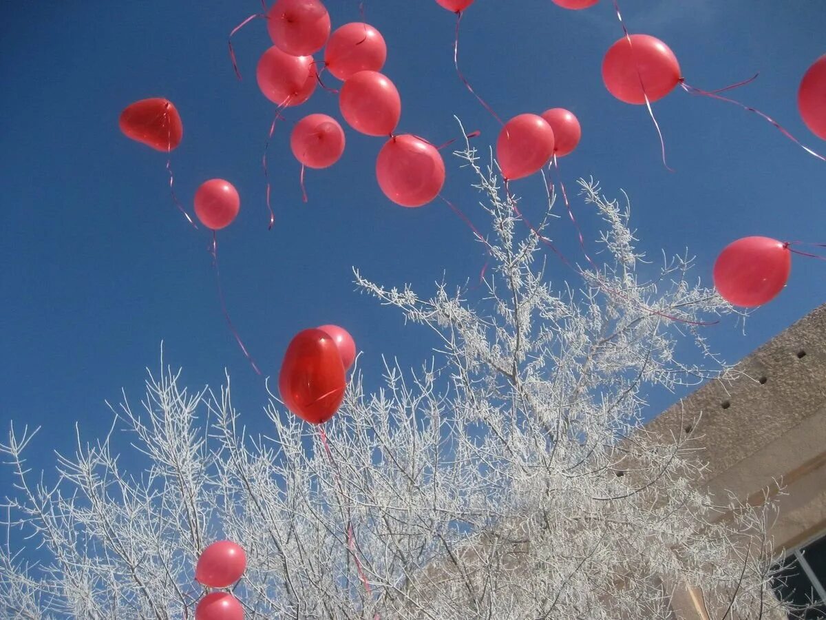 Шары зимой. Красные шары в небе. Зима и воздушные шарики. Воздушные шары в небе.