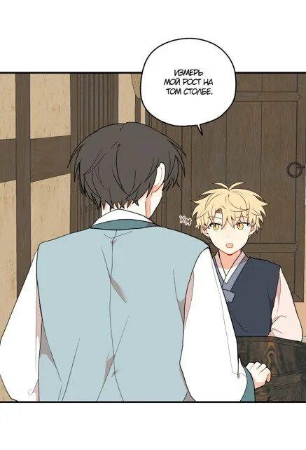 дорога где упала форзиция 38 глава. форзиция уикенд. цветущие кусты на желтом фоне. форзиция в парке. дорога где упала форзиция 38 глава.