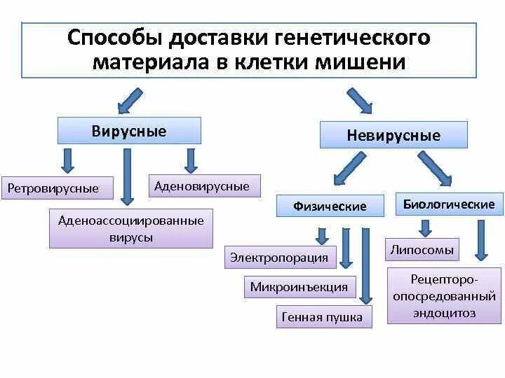 Способы доставить. Способы доставки генетического материала.. способы доставки генов в клетку. вирусные системы доставки генов. методы лечения наследственных заболеваний.