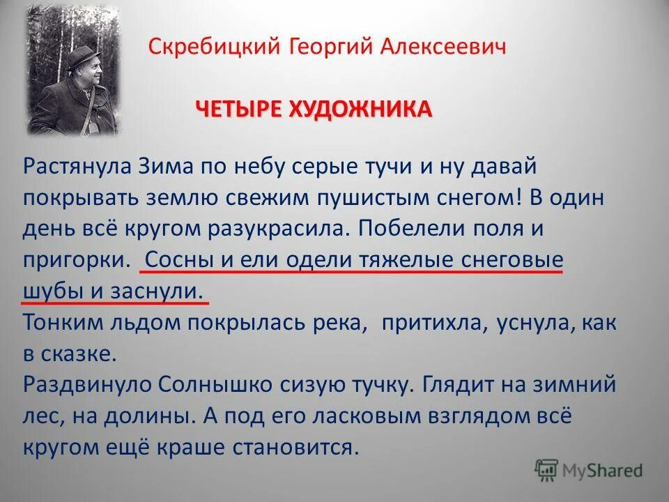 пасмурный зимний день. растянула зима по небу серые тучи. облака зимой. пасмурные облака. красивое зимнее небо.