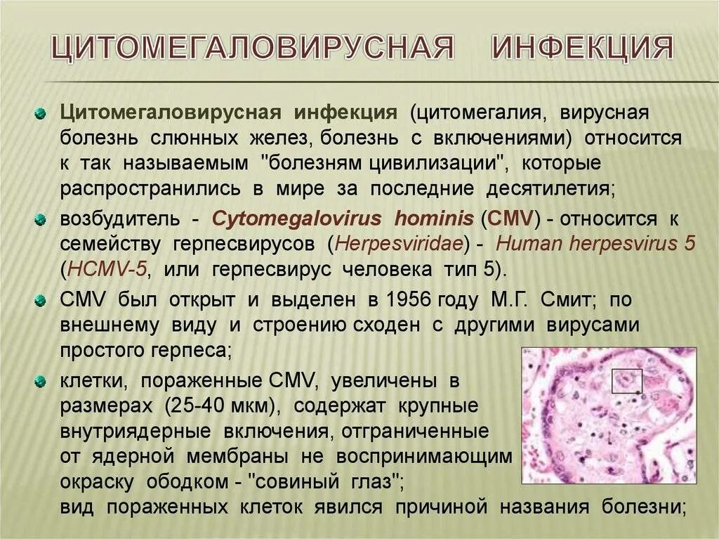 Цитомегаловирус острая фаза симптомы. Цитомегаловирусной инфекции. ЦМВ клинические проявления.