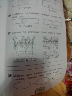 Условные знаки тундры