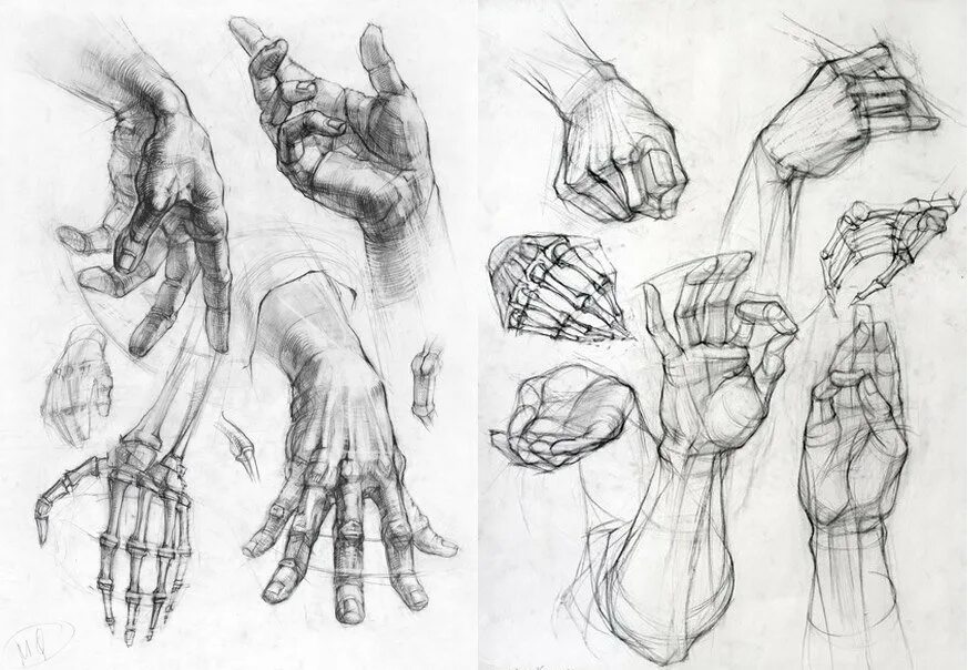 Строение руки рисунок. Анатомия кисти референс. Анатомия рук кисти рук референс. Кисти рук референсы анатомия. Руки референс анатомия кисти.