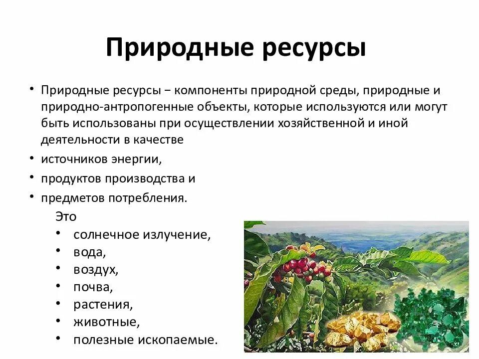 Главный природный компонент. Ресурсы природных компонентов. Природные компоненты, природные ресурсы это. Природные условия и ресурсы презентация. Компоненты природной среды.