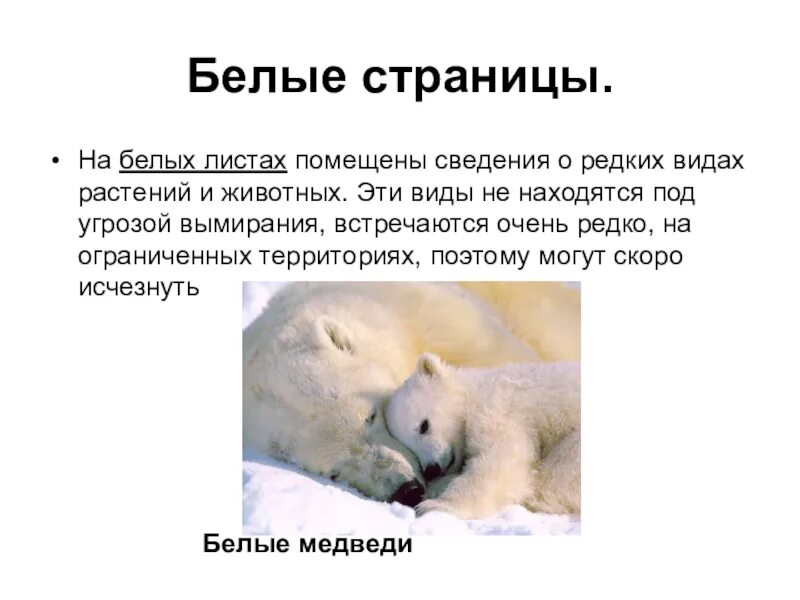 Список белых животных. Белые страницы красной книги животные и растения. животные из красной книги на белых страницах.