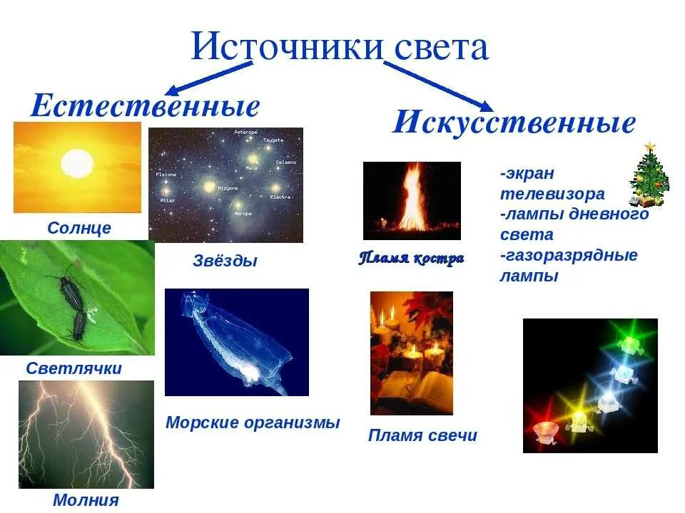 Искусственные источники света. Биолюминесценция химическая реакция. Виды люминесцентного излучения. Виды люминесценции. Способ свечения.