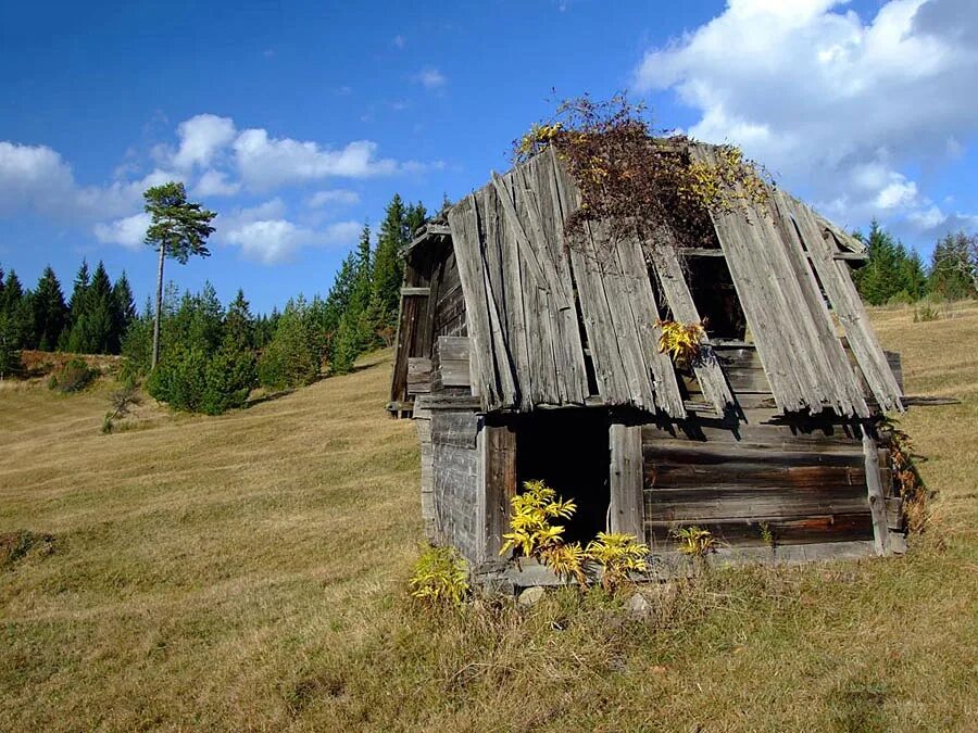 Хижина жилище. Халупа развалюха. Халупа. Хижина аризона. Халупа шаранова.