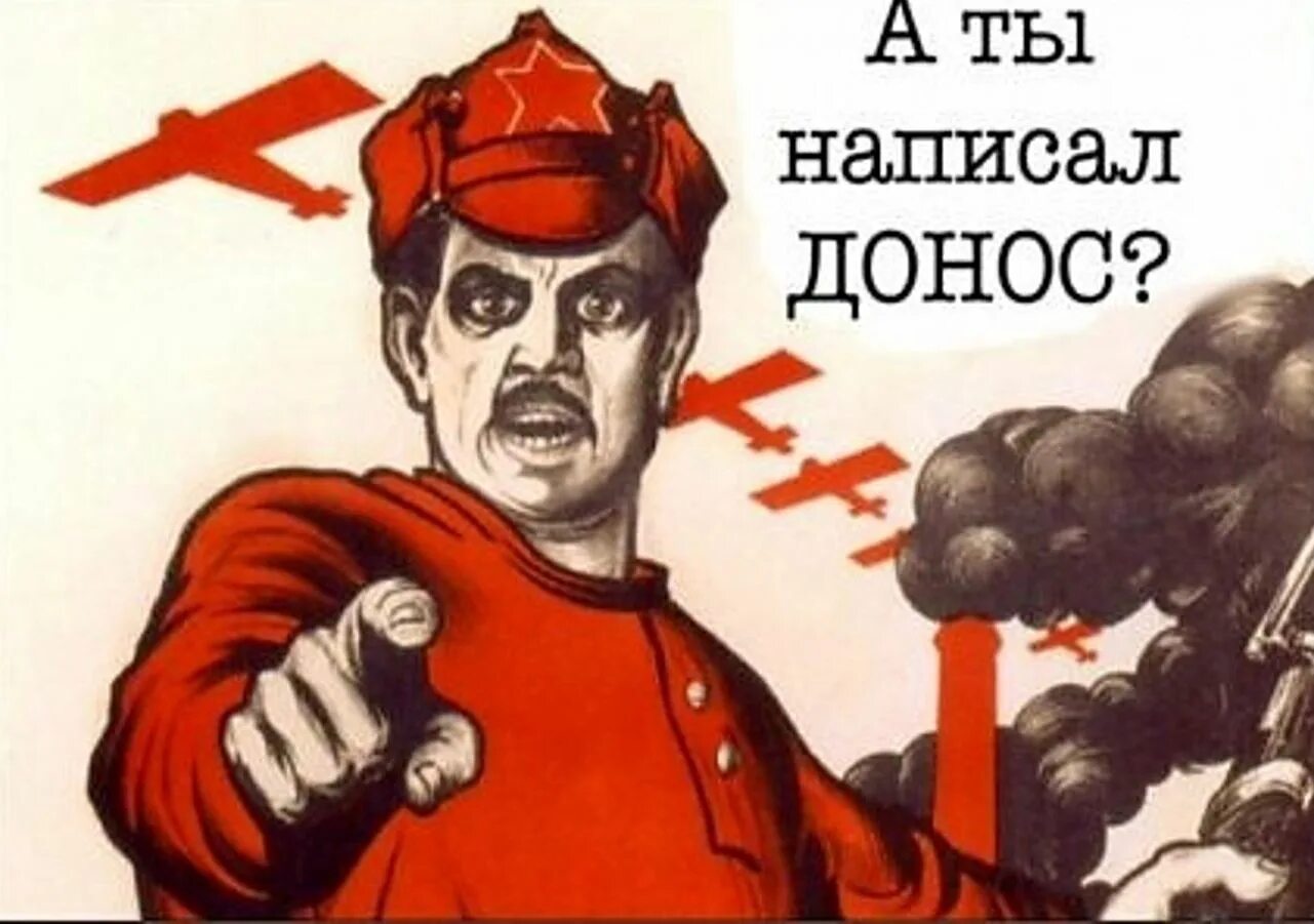 Сдай соседа колорадо. Смешные истории фотографии. Сдай соседа. История умные игры. Сдай соседа.