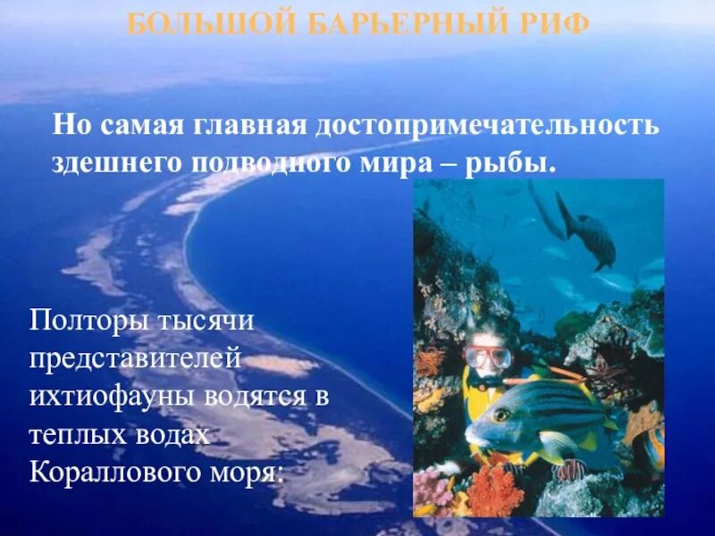 Большой барьерный риф презентация. Большой барьерный риф презентация. Большой барьерный риф австралия презентация. Большой барьерный риф сообщение. Большой барьерный риф презентация.