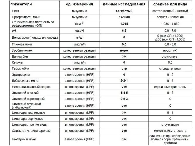 Норма белка в моче в 3 триместре беременности. Норма белка в моче у беременных в 3 триместре. Анализ мочи эпителий норма беременность. Норма белка в моче у беременных 2 триместр.