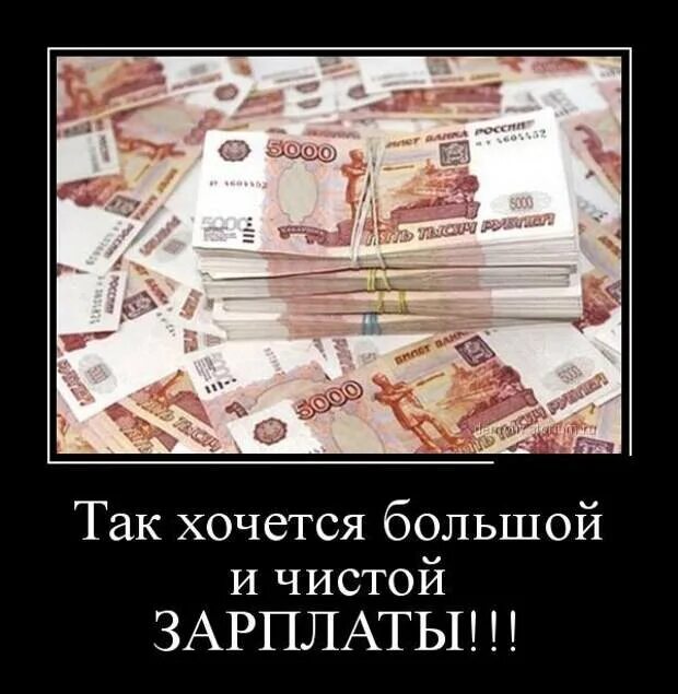 Мы так хотели быть чистыми