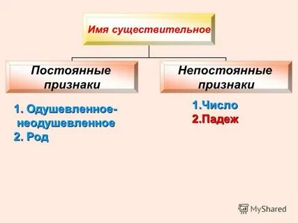 Постоянные признаки имени существительного