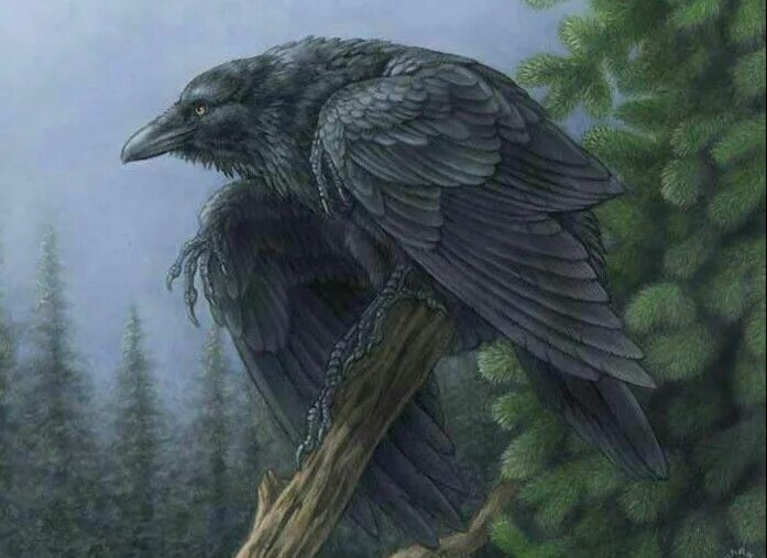 Winters call