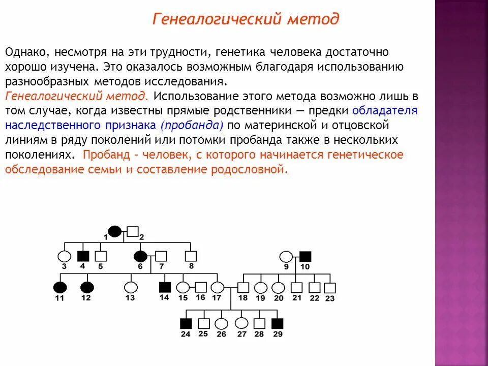 Методы изучения генетики человека генеалогический. Метод родословных в генетике человека. Генеалогический метод исследования генетики человека. Основная схема генеалогического метода. Генеалогический метод исследования наследственности человека.