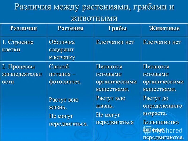 Чем животные отличаются от растений кратко. Признаки различия грибов от животных. Отличие грибов от растений таблица. Сходства и различия грибов и растений и животных таблица. Сходство и различие грибов растений и животных.