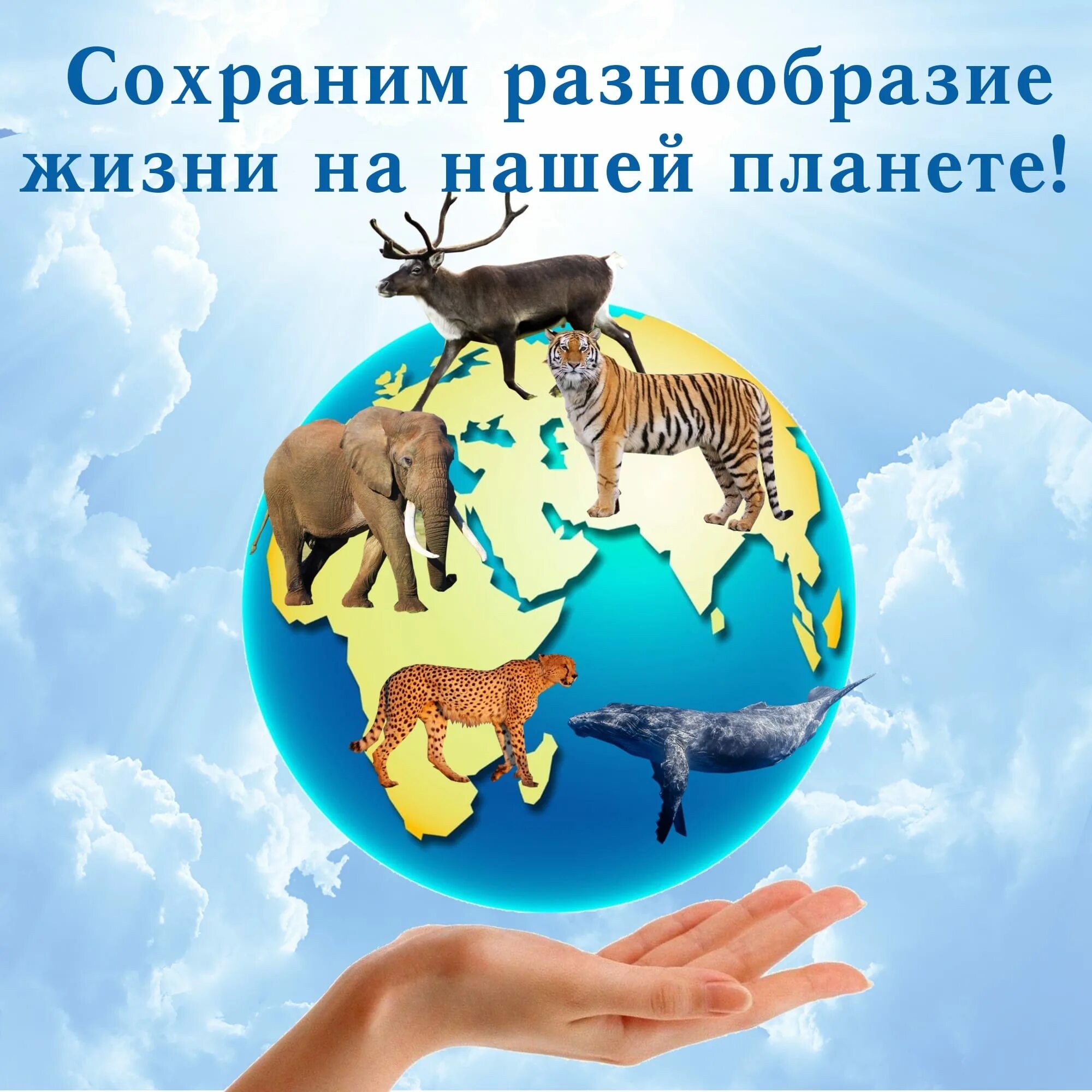 Многообразие картинки. Международный день биологического разнообразия. разнообразие жизни. биологическое разнообразие планеты. биологическое разнообразие картинки.