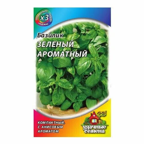 Жамбил (разновидность базилика). Kamis базилик 10г. Камис пакеты базилик 10г. Базилик зеленый карлик. Базилик камфора.