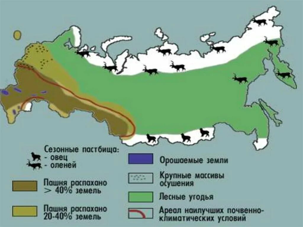 Плодородность почв России. Карта почв на территории России. Карта почвенных зон России. Карта плодородности почв России. Порядок почв с севера на юг