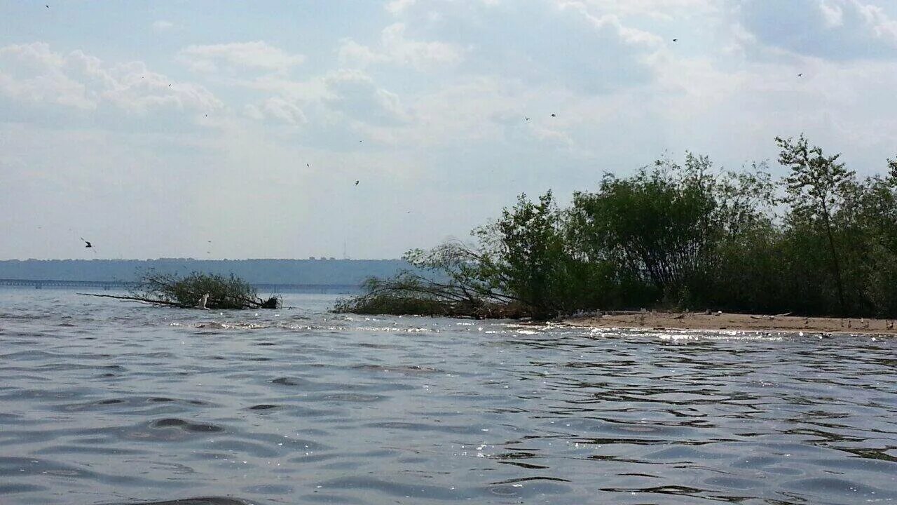 Куйбышевское водохранилище пляж. Сурское водохранилище цветет. Куйбышевское водохранилище под водой. Сурское водохранилище растения. Затопление куйбышевского водохранилища