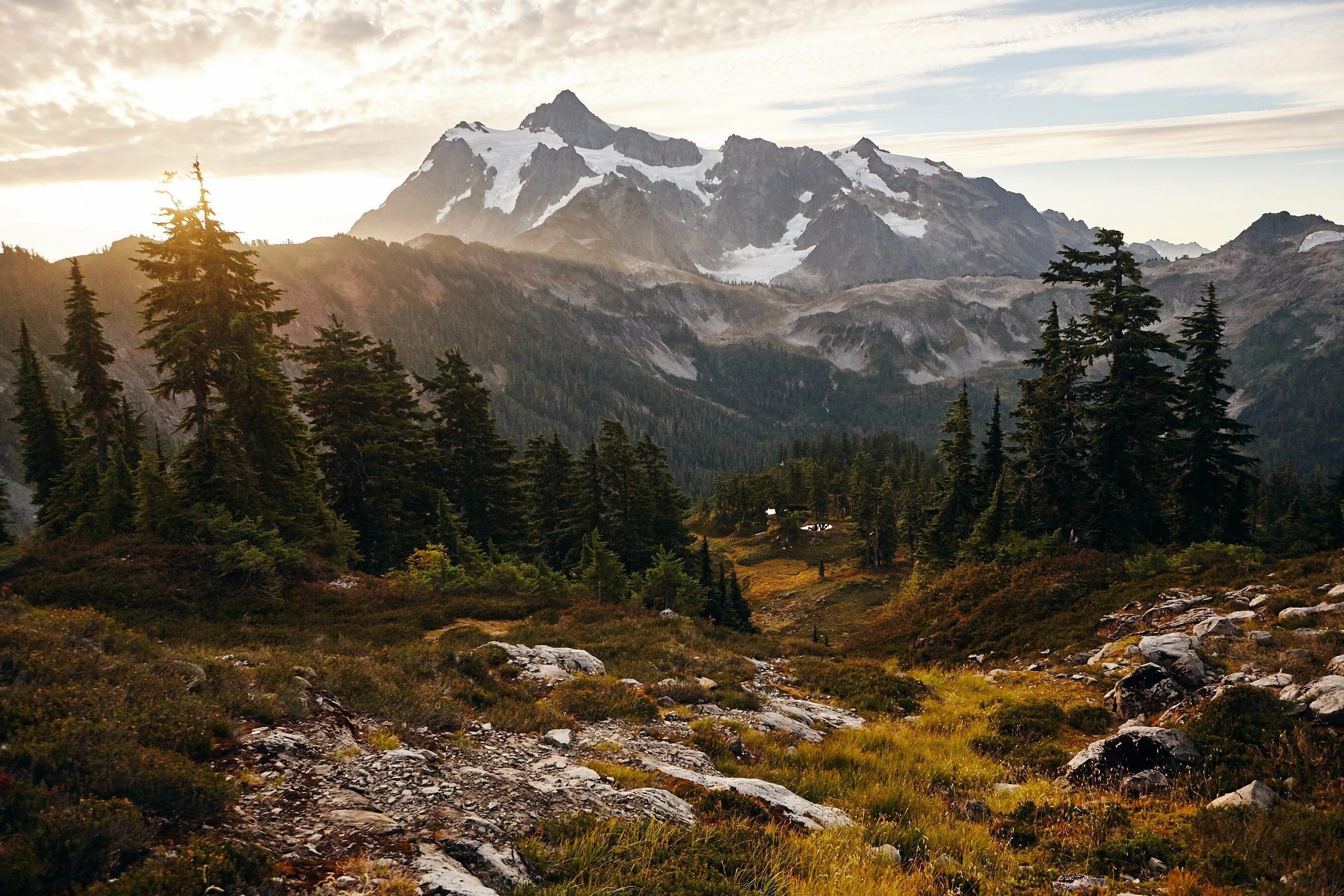 Штат Орегон каскадные горы. Национальный парк Маунт-Рейнир, штат Вашингтон. Гора шуксан Вашингтон. Лэндскейп горы. Лес горы слились все