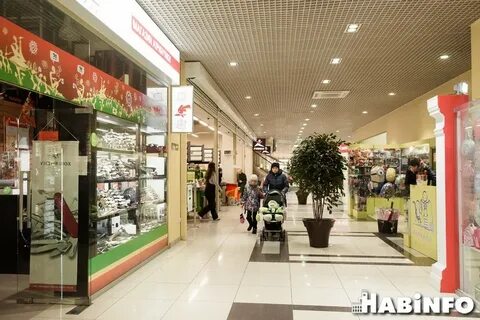 Подсолнух хабаровск