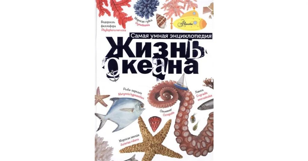 Жизнь в океане текст. Жизнь в океане книга. Книга морские животные. Книга мир моря. Жизнь океана а. в. Тихонов книга.