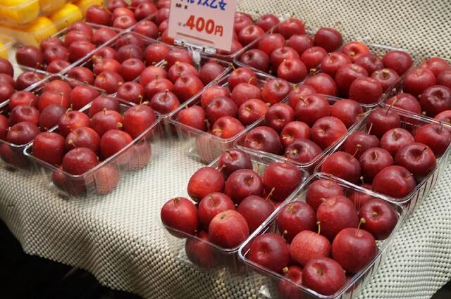 яблоня секай ши. необычные яблоки. дорогие яблоки. американские яблоки. самое дорогое яблоко.