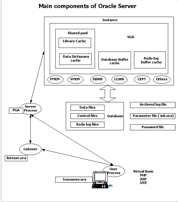 Oracle memory. Схема данных oracle. oracle database схема. архитектура oracle net. oracle 19 architecture diagram.