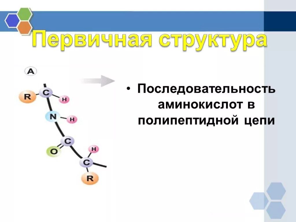 Определите аминокислотную последовательность полипептида. Последовательность аминокислот в полипептидной цепи. Аминокислоты в полипептидной цепи. Первичная структура белков 9 класс. Аминокислотная последовательность инсулина.