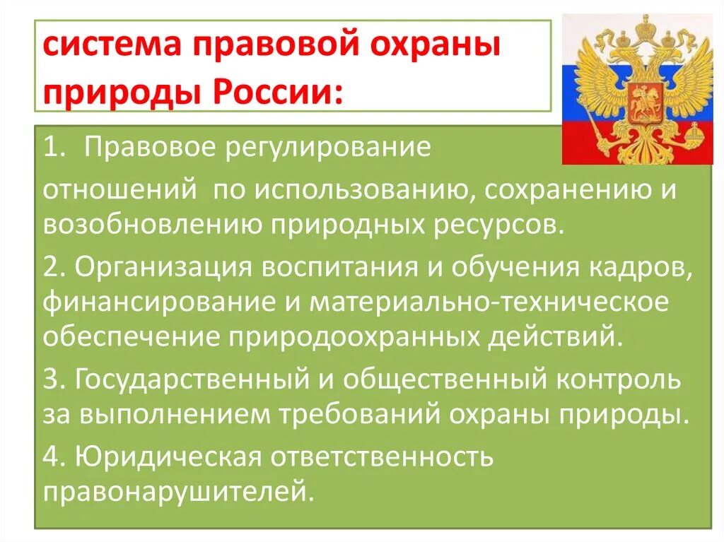 Правовые основы охраны окружающей среды. Правовая защита природы РФ. Охрана природы в России. Основы охраны природы. Законы охраны природных ресурсов