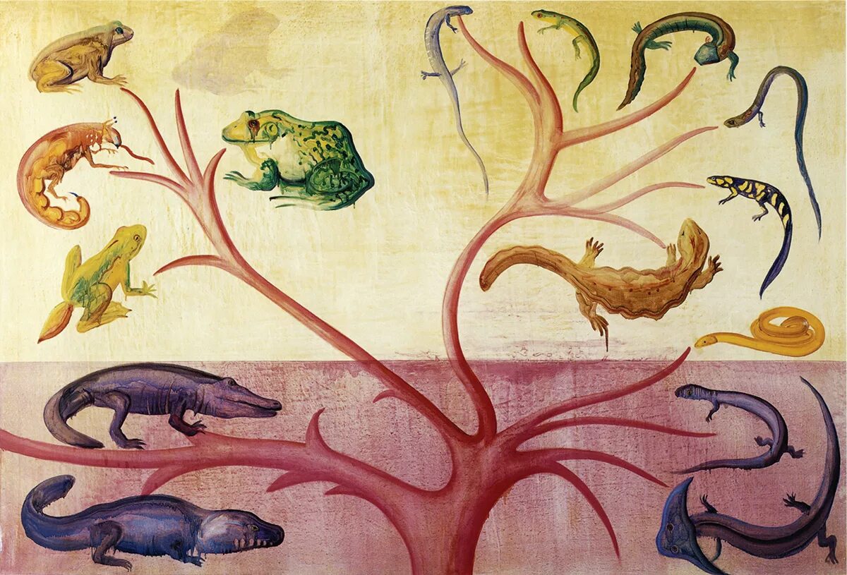 Жизни путем эволюции. Эволюция животных. Филогенез. Филогенез животных. Эволюция животных земноводные.