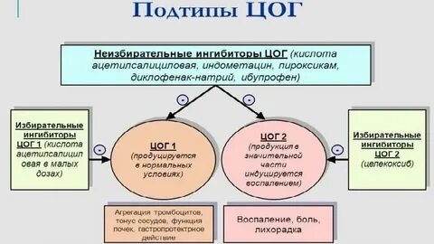 Гку цогу